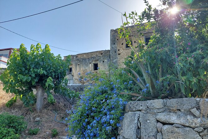 Wine Tasting: Meet the Cretan Vineyard at West Chania - Who will enjoy this tasting most