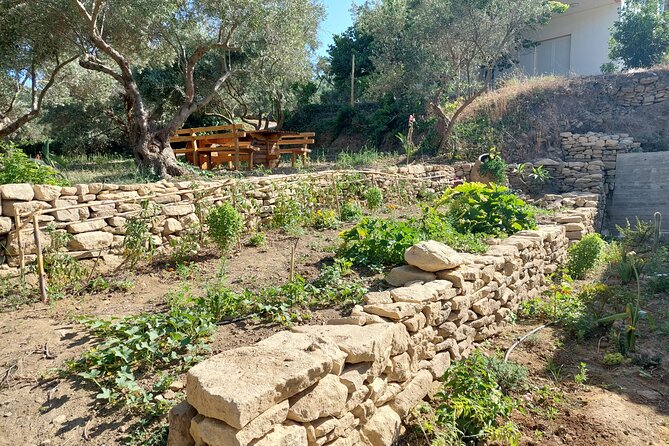 Wine Tasting: Meet the Cretan Vineyard at West Chania - Cheese, pies, honey, and olive oil at the table
