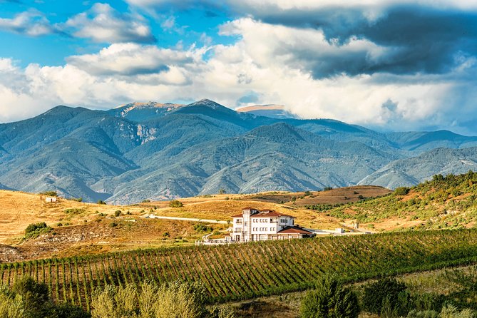 Wine Tasting & More in Villa Melnik – One of the World’s Best Wineries - The winery visit and tasting