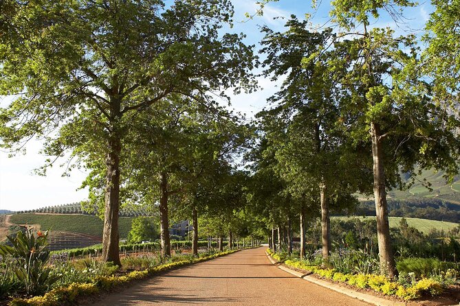 Wine Tasting Private Tour in Cape Winelands - Why this Cape Winelands day works