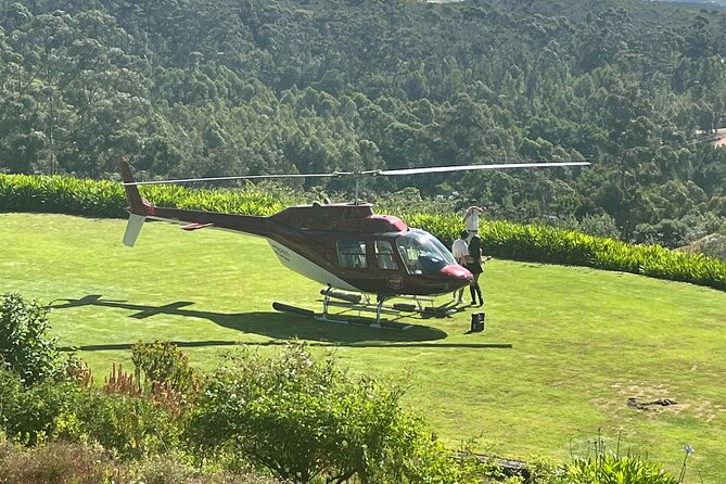 Wine Tasting Private Tour in Cape Winelands - Haute Cabriere: wine and mountain scenery