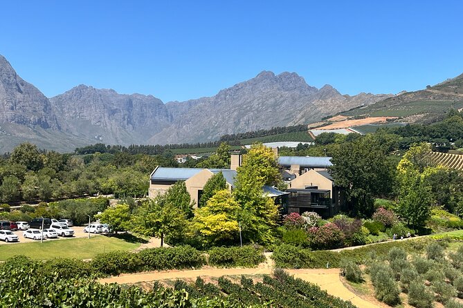 Wine Tasting Private Tour in Cape Winelands - What the $120 price gives you