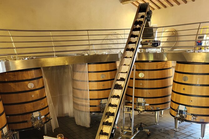 Wine Tasting Tour at Châteauneuf du Pape - Why Châteauneuf-du-Pape makes a good half-day trip