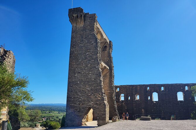 Wine Tasting Tour at Châteauneuf du Pape - Seeing the vineyards before tasting the wine