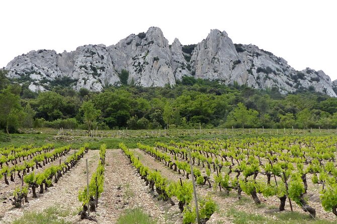 Wine Tasting Tour at Châteauneuf du Pape - What the winery visits add