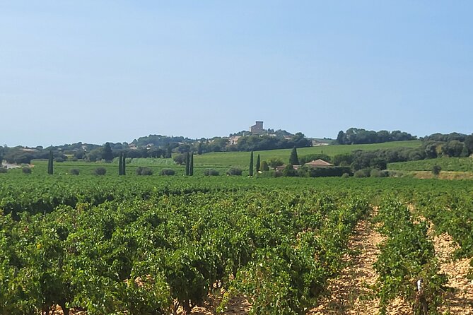 Wine Tasting Tour at Châteauneuf du Pape - Is the $113.84 price fair?