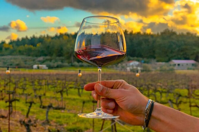 Wine Tasting Tour at Two Wineries in Urla Turkey - Why Urla makes a good wine day from Izmir