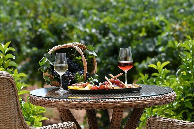 Wine Tasting Tour at Two Wineries in Urla Turkey - A personal outing with Erge behind the wheel