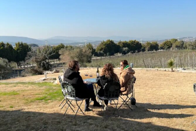 Wine Tasting Tour at Two Wineries in Urla Turkey - Is $144.35 a fair price?
