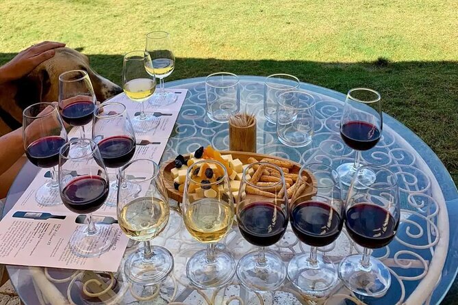 Wine Tasting Tour at Two Wineries in Urla Turkey - First winery visit: vineyards and production rooms