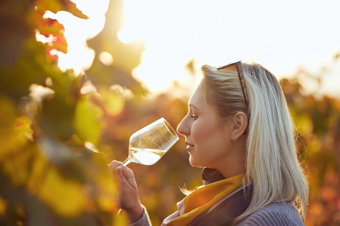 Wine Tasting Tour in Algarve Winery - The olive oil tasting may be the surprise