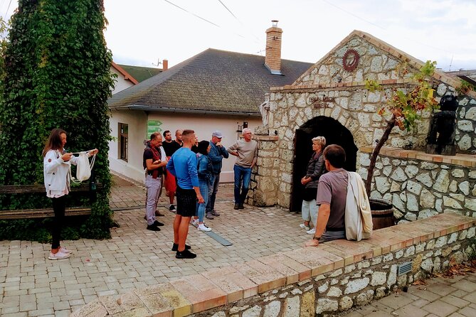 Wine Tasting Tour in Tokaj Wine Region Slovakia. With transport - Who will enjoy this Tokaj outing