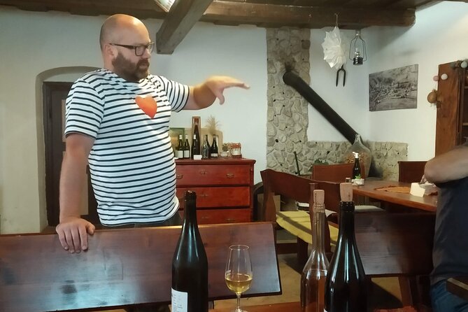 Wine Tasting Tour in Tokaj Wine Region Slovakia. With transport - Is the $252.33 price worth it?