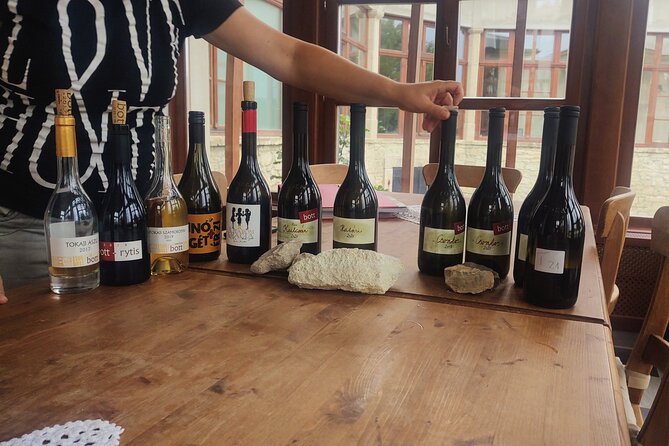 Wine Tasting Tour in Tokaj Wine Region Slovakia. With transport - One winery, at least five Tokaj wines