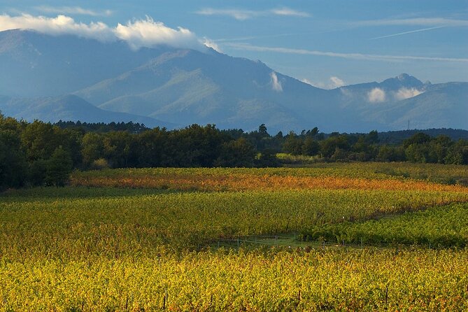 "Wine Tasting Winery Experience & Guided Tour of Corinth" - Who will get the most from this outing?