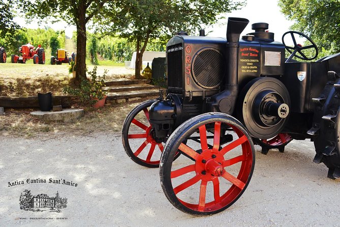 Wine Tour and Tasting at Le Marche's Oldest Wine Estate - How the one-hour schedule works