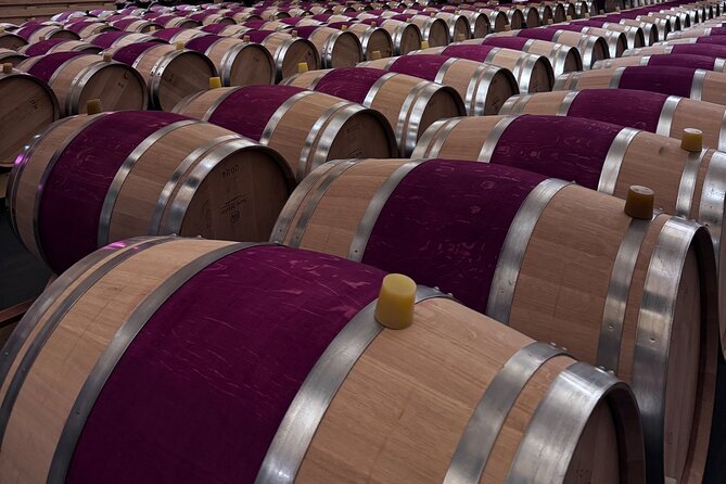 Wine Tour of Mèdoc : Châteaux, Tastings and WSET Guide - The first château: one hour among barrels and vineyards
