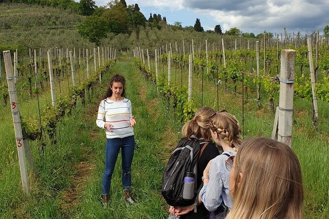 Wine Tour of two Chianti wine estates on the hills of Florence - Agriturismo Ulivello: a cellar among the Chianti Classico hills