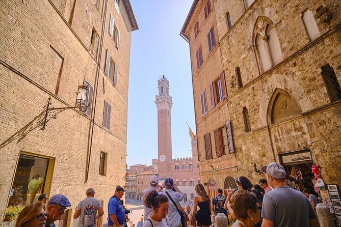 Wine Tour of two Chianti wine estates on the hills of Florence - What you will actually taste