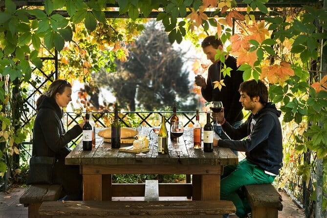 Wine Tour of two Chianti wine estates on the hills of Florence - Who will enjoy this private tour most?