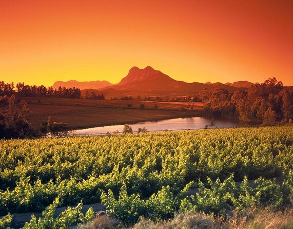 Wine Tour: Paarl, Franschhoek & Stellenbosch incl 3 wineries - Paarl finishes with sweets and wine