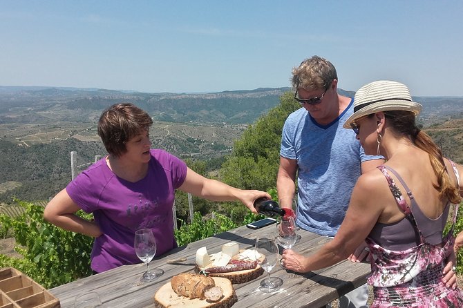 WINE TOUR PRIORAT: Visit 2 Top Wineries, Wine Tasting & Gourmet Lunch - Key points at a glance