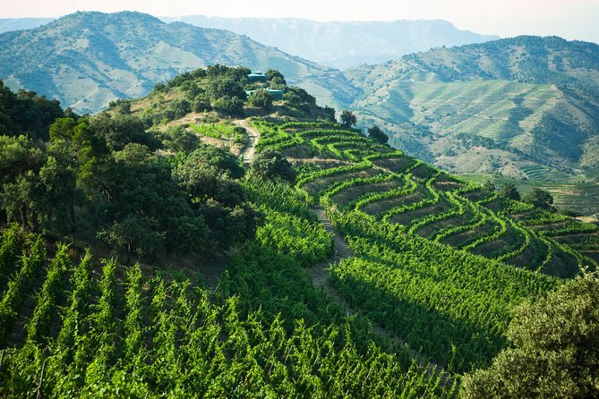 WINE TOUR PRIORAT: Visit 2 Top Wineries, Wine Tasting & Gourmet Lunch - Why Priorat makes a strong day trip from Barcelona