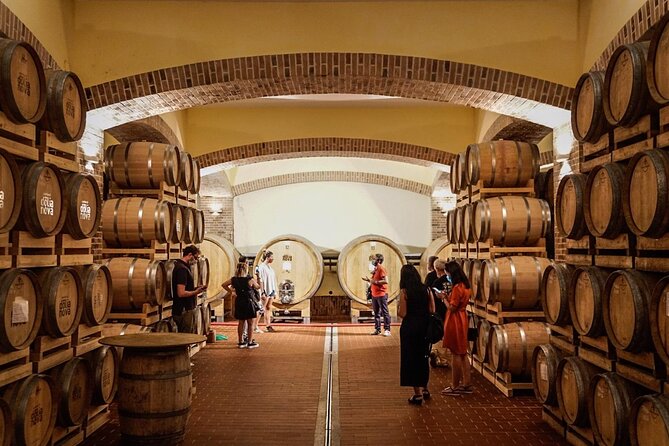 WINE TOUR with sommelier in a winery near Cagliari - The tasting room and three Sardinian wines