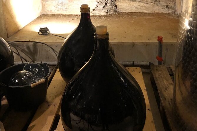 Wine Tours and Tastings from Béziers - Puissalicon and the first estate