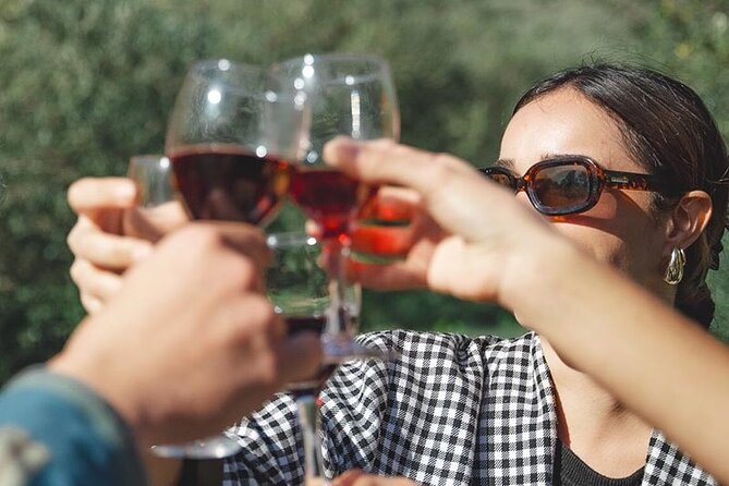 Wine Tours and Tastings from Béziers - Is $106.82 good value?