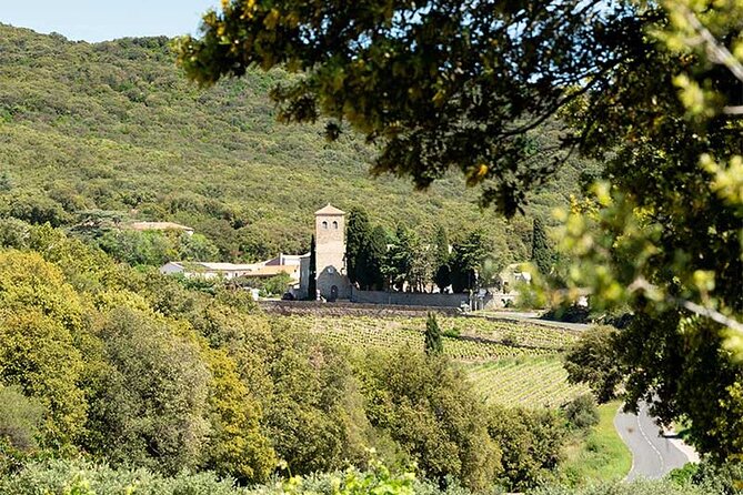 Wine Tours and Tastings from Béziers - Who should book this experience?
