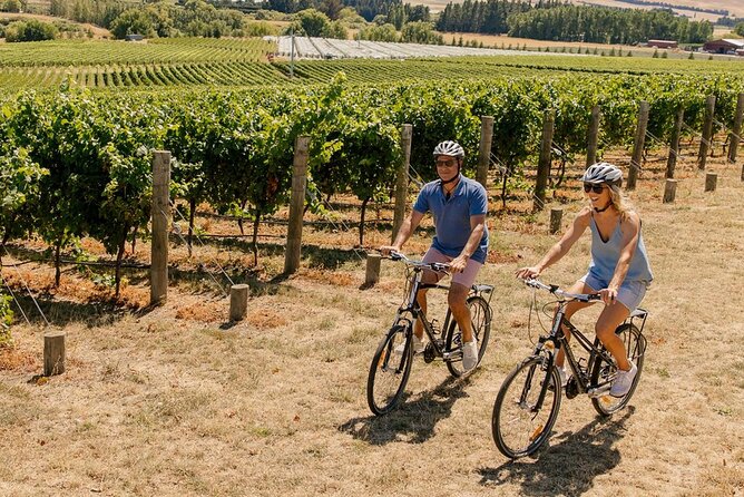 Wine trail and Christchurch City - Luxury, Small Group Tour - Christchurch city centre and the earthquake rebuild