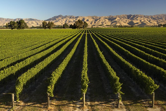 Wine trail and Christchurch City - Luxury, Small Group Tour - She Chocolate and the sweeter finish