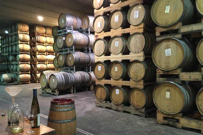Wine trail and Christchurch City - Luxury, Small Group Tour - Price, inclusions, and overall value