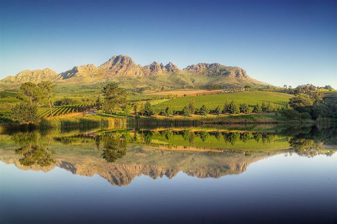 Winelands Full Day Tour - Key points to know before booking