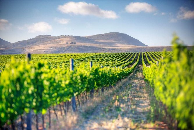 Winelands Full Day Tour - Waterford Estate and the first tasting