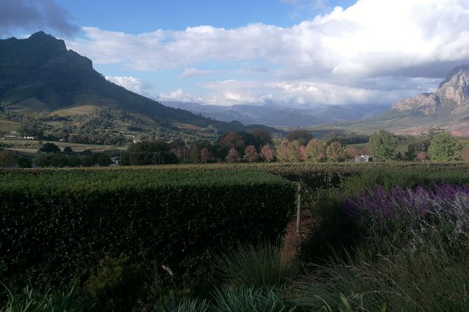 Winelands Full Day Tour - Franschhoek, the French corner of the Cape