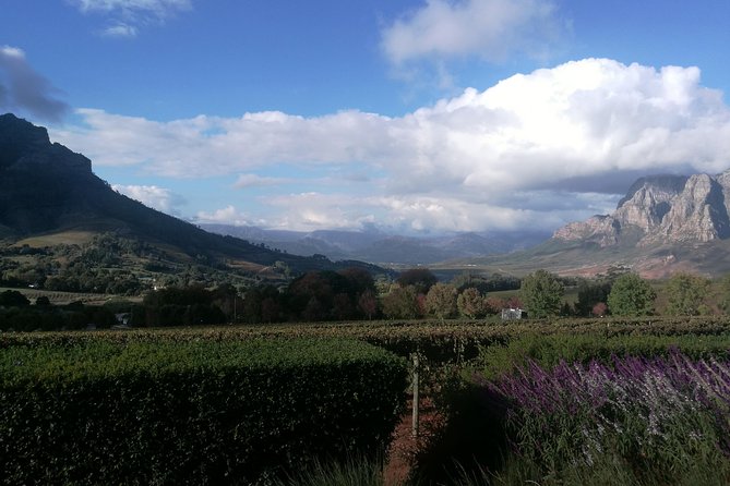 Winelands Full Day Tour - Fairview and the cheese-and-wine angle