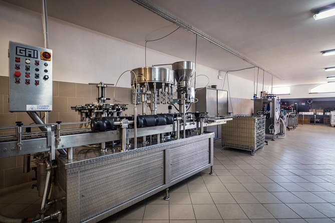 Winemaker for a Day: Tour an Organic Winery - The tasting table and Umbrian pairings