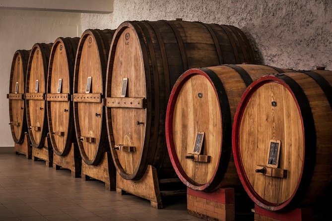 Winemaker for a Day: Tour an Organic Winery - What the $47.17 price really covers