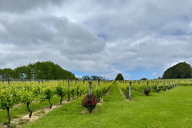 Wineries / Brewery - Hallertau Brewery changes the rhythm