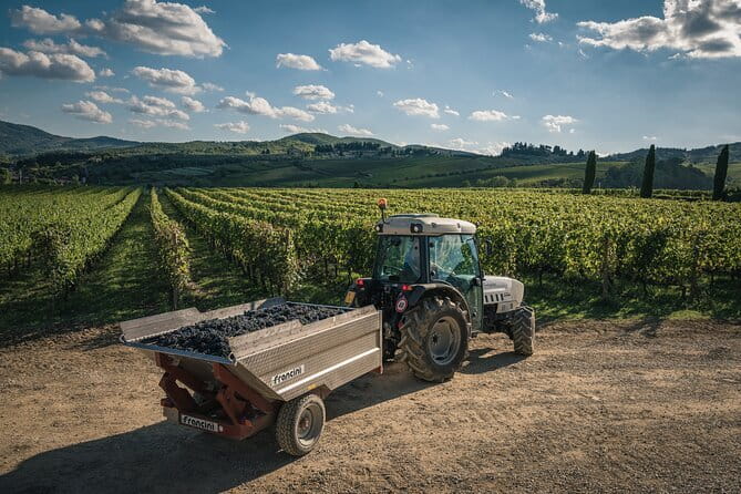 Wineries Tour and Wine Tastings in Chianti Hills from Florence - The road along the Chiantigiana
