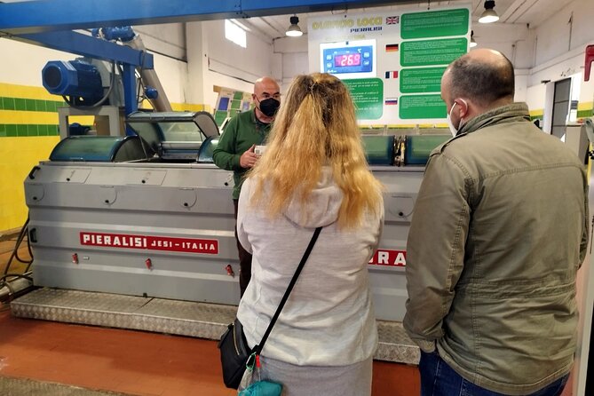 Winery And Oil Mill Tasting Tour - Following grapes from vineyard to bottle at Audarya