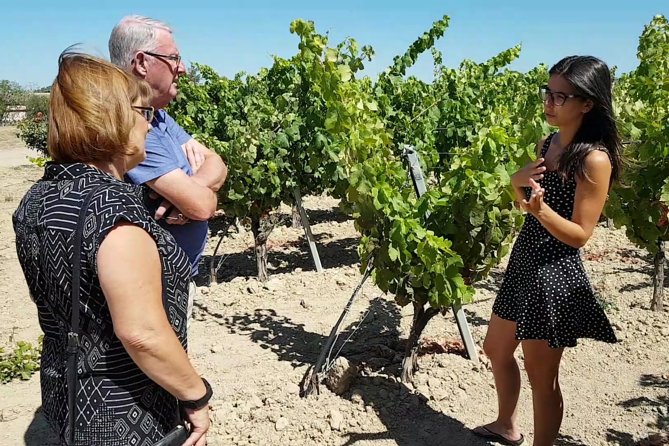 Winery And Oil Mill Tasting Tour - Who will enjoy this afternoon most