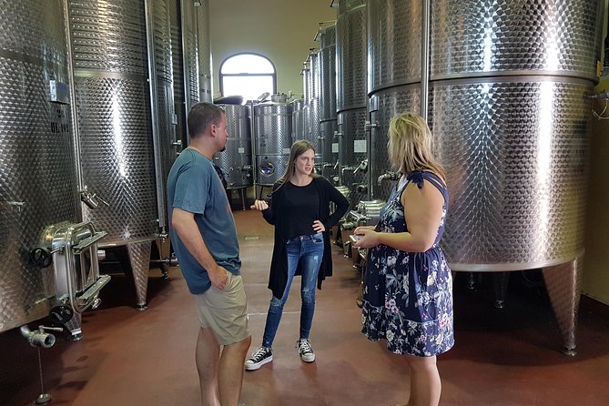 Winery And Oil Mill Tasting Tour - Should you book the Winery and Oil Mill Tasting Tour?
