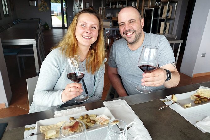 Winery And Oil Mill Tasting Tour - A guide who can change the plan