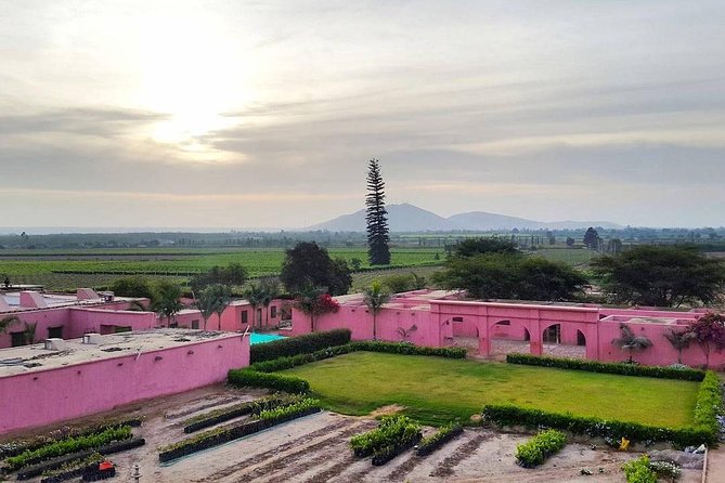 Winery and Pisco Distillery tour - Why an Ica pisco tour is worth your afternoon