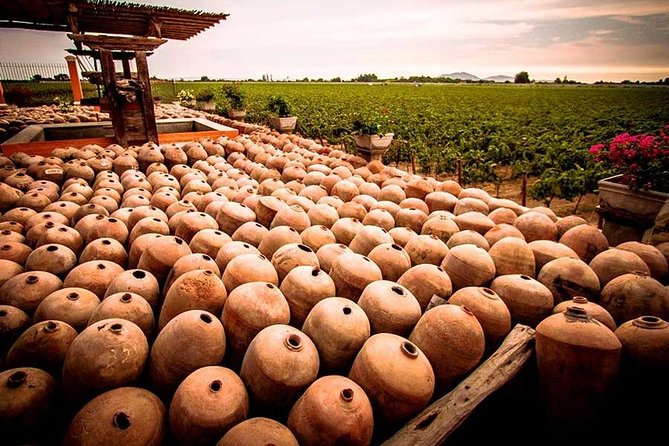 Winery and Pisco Distillery tour - La Vieja Bodega Lovera and old cellar traditions