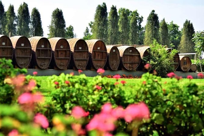 Winery and Pisco Distillery tour - Bodega Nietto, a family winery founded in 1857