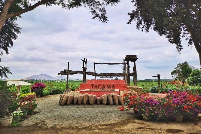Winery and Pisco Distillery tour - What the small group and guides add
